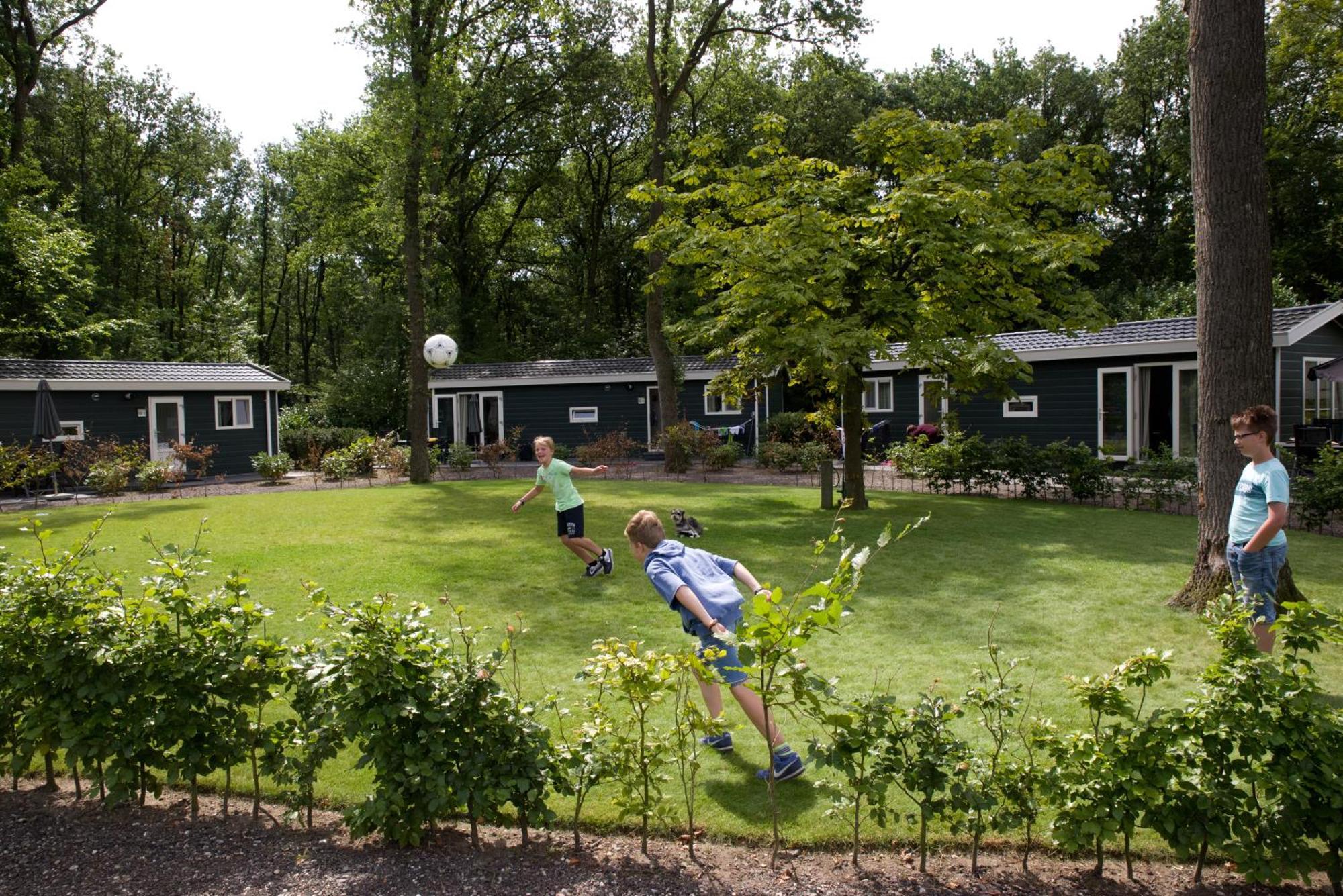 Vakantiepark Bonte Vlucht Villa Doorn Exterior foto